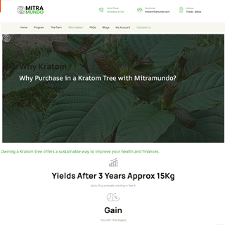 Interactive financial planning UI